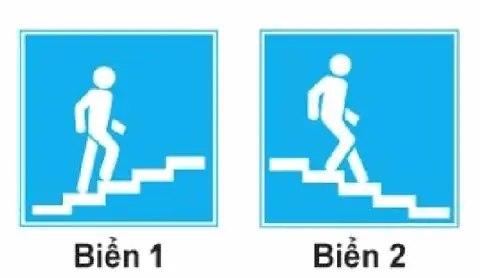 Bộ 250 Câu Hỏi Thi Sát Hạch Lái Xe Hạng A, A1 Năm 2026 Cau 202 hinh minh hoa